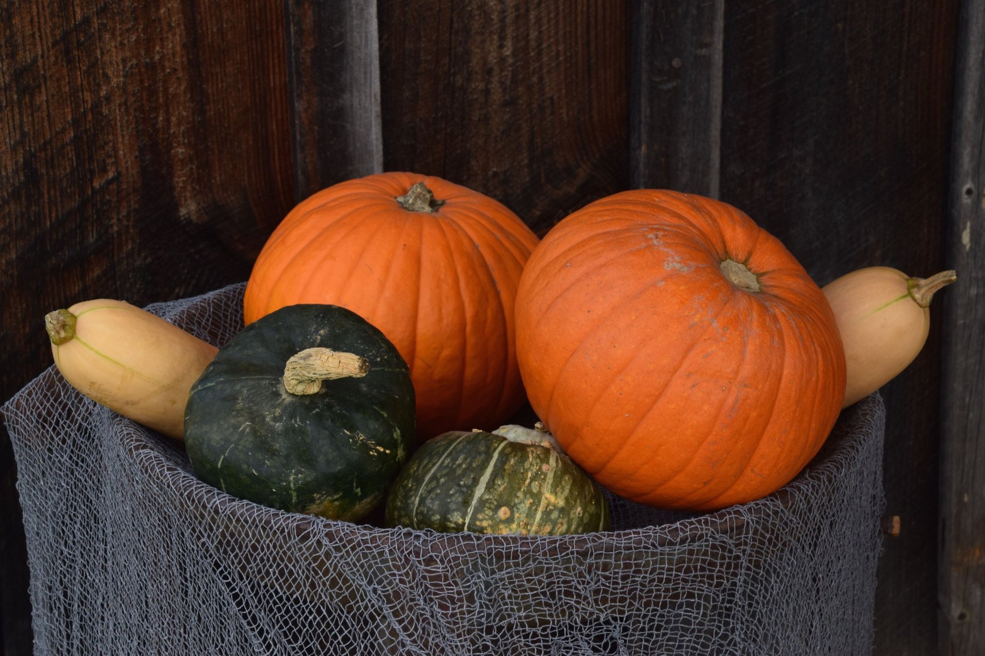 Pumpkins and squash